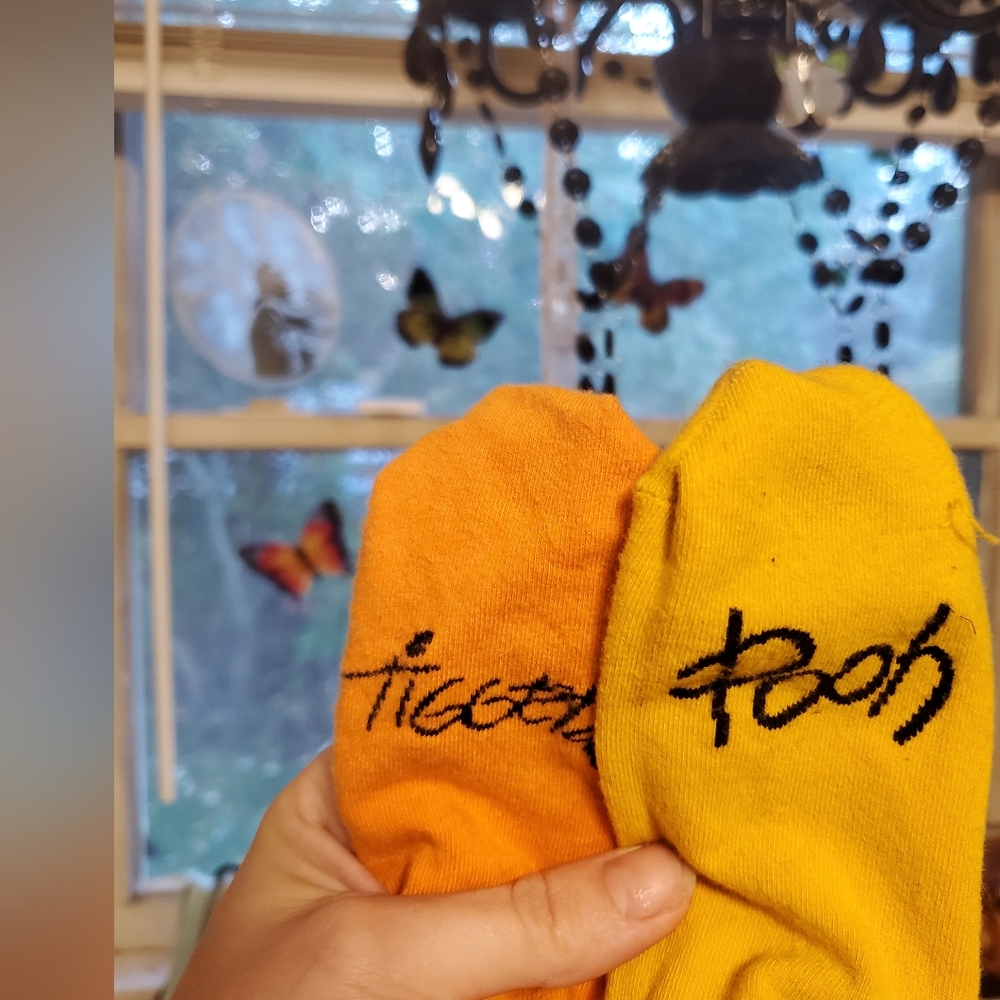 Used Pair of Winnie the Pooh & Tiger Socks
